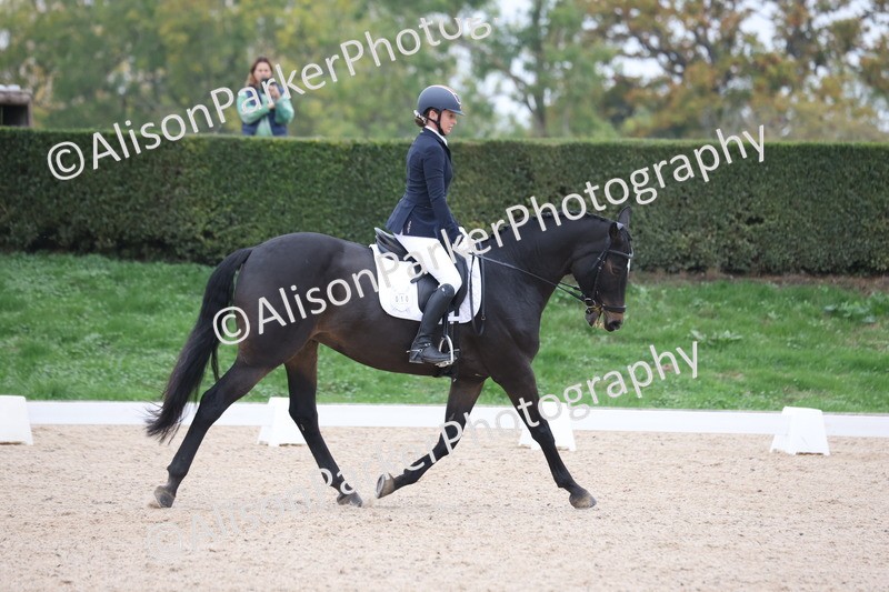 20251011-0465 - Class 4 - Novice 2