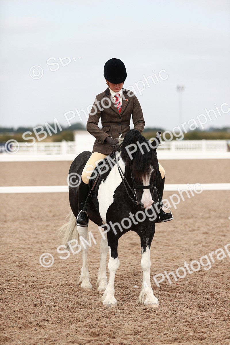 SBM_16759 - Class 214 Ridden Cob