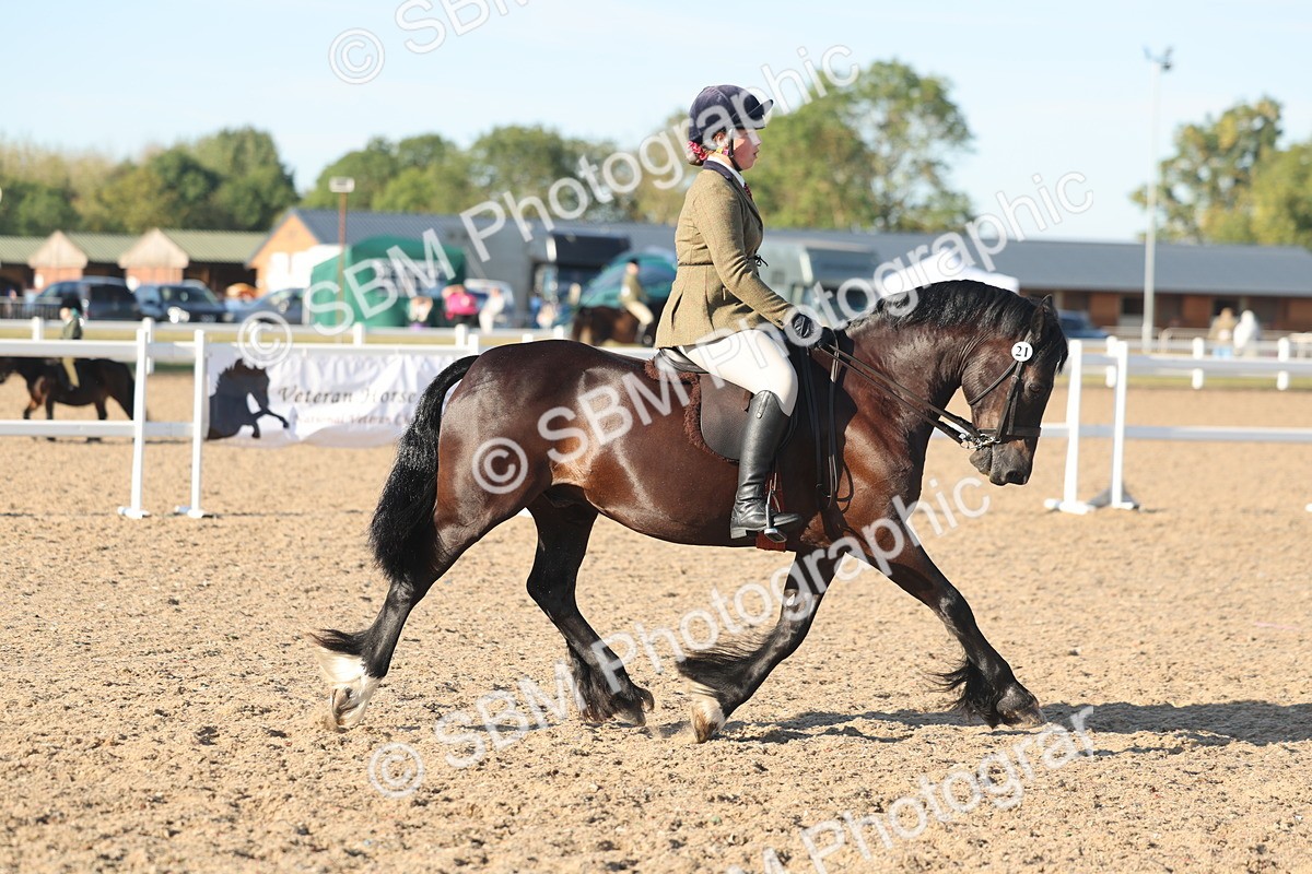 SBM_11010 - Class 302 - Ridden M&M Large Breeds