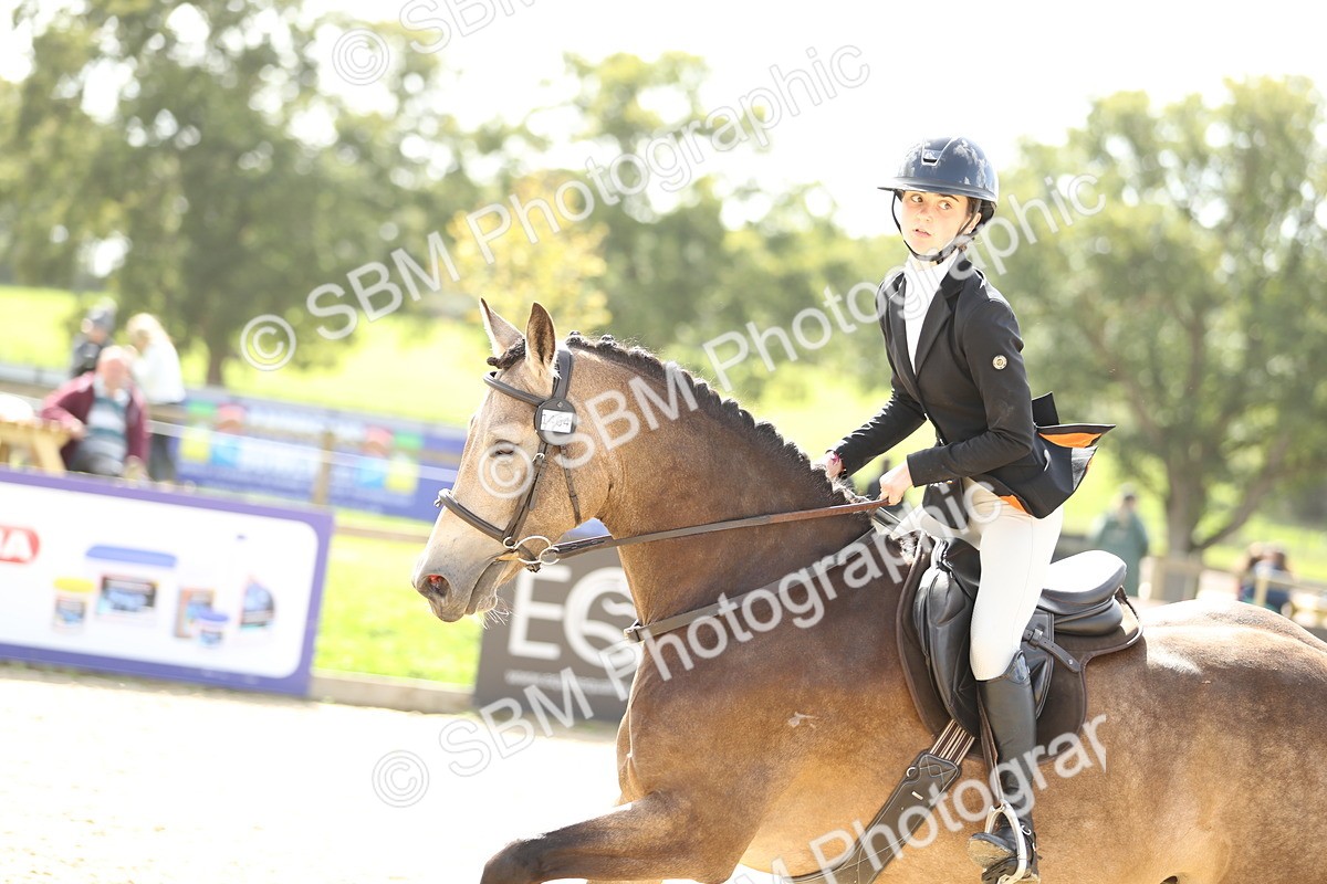 SBM_06410 - J29 - Senior Horse & Pony 65cm Championship