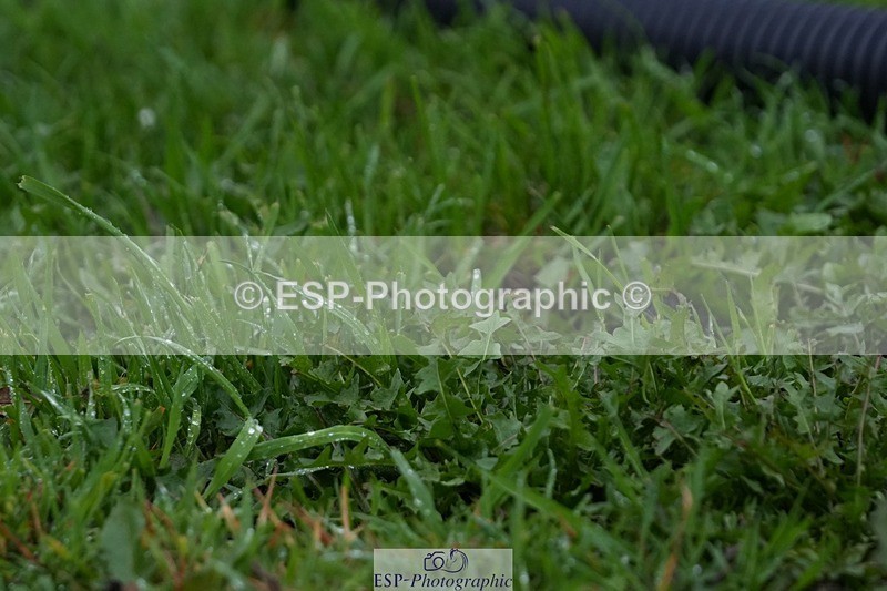 250920-142719-01447 - Cls 18-20 CoH 1.10m, 1.20m and 1.25m