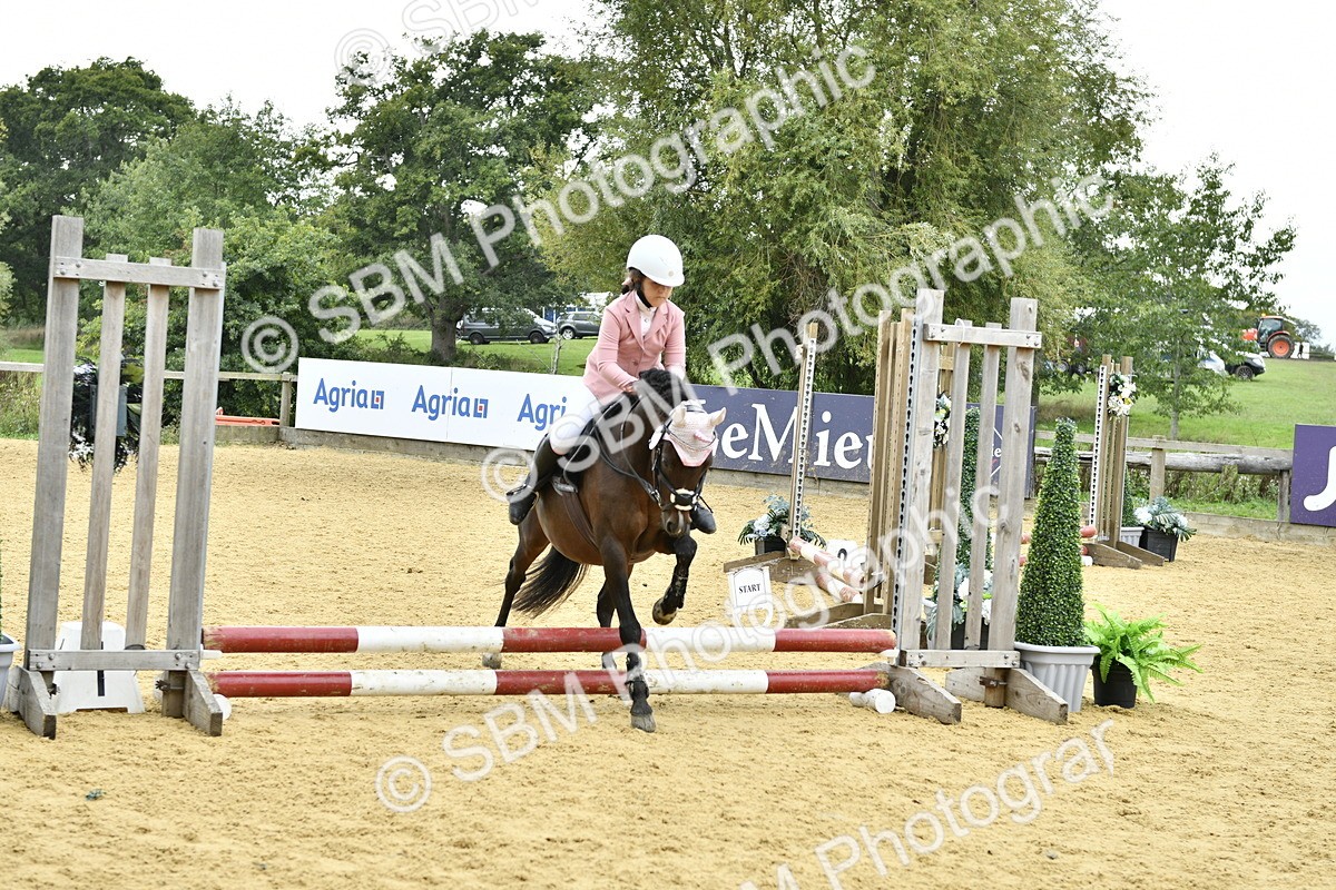 SBM_66188 - J2a mini Tour Junior Pony 30cm Championship