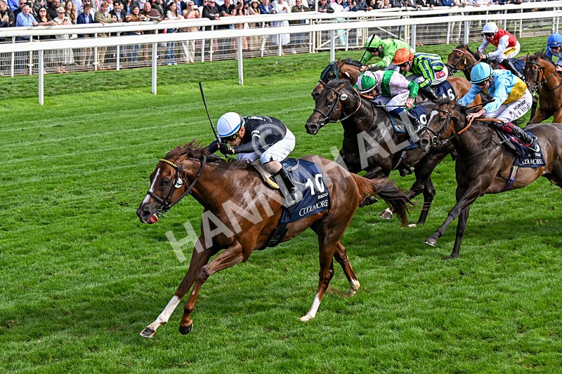210826-Race 4-Bacio-0256 - Race 4 15.35pm Coolmore City Of Troy Nunthorpe Stakes