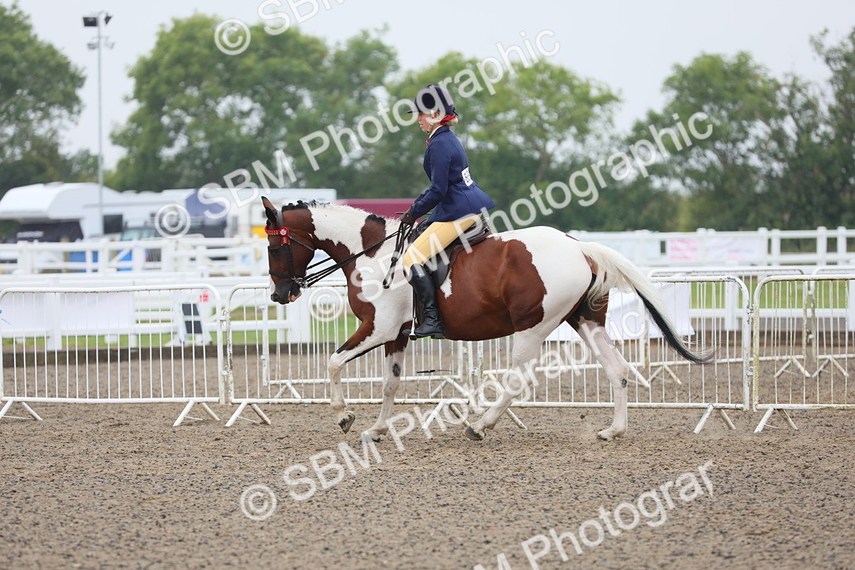 SBM_19900 - Class 801 - Ridden Veteran