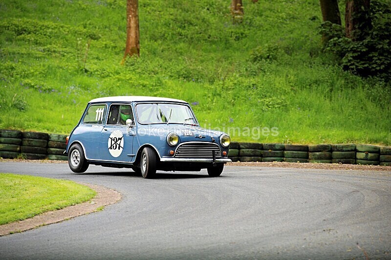 _56A1753 - MINI FESTIVAL 22ND May 2021