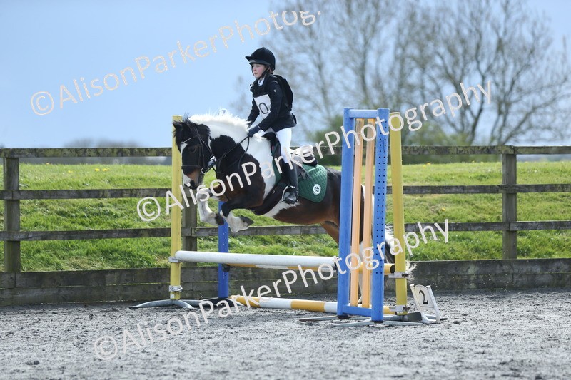 20260412-1817 - Show Jumping