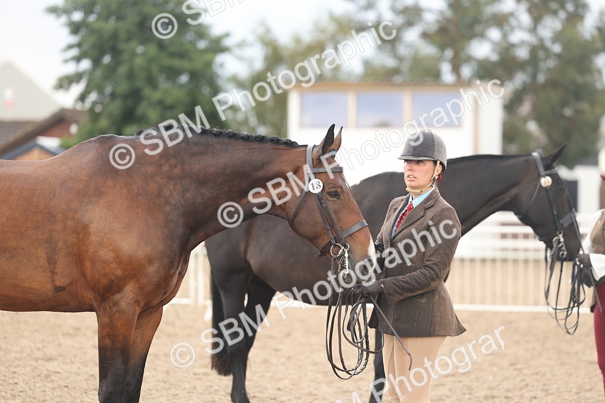 SBM_07870 - Class 28 - IH Veteran Horse