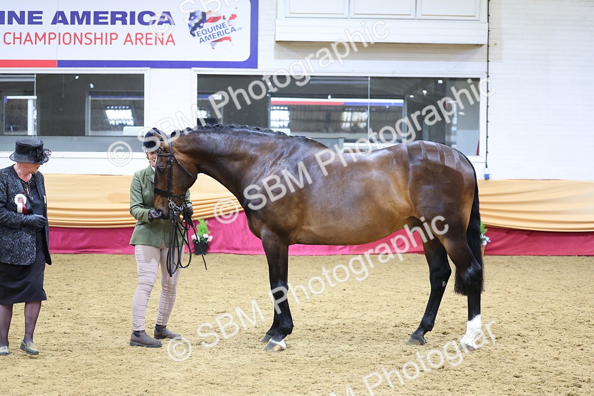 SBM_20853 - Class 902 - Supreme Final IH Veteran