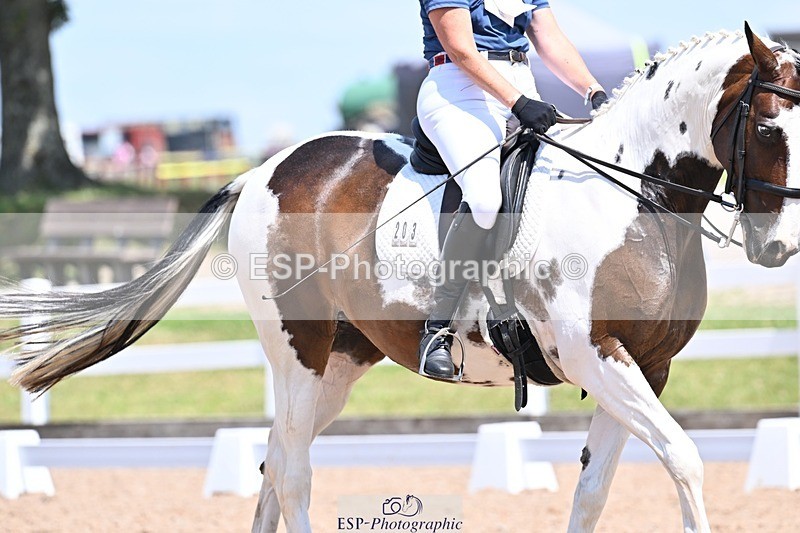 250620-134648-03537 - BD Cls 8 - Elementary 6