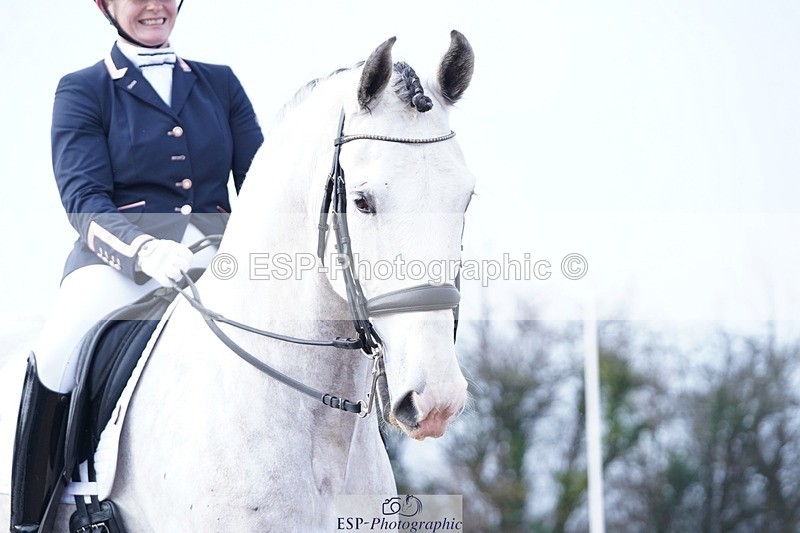 250215-143420-04310 - 105-Charlotte.Crockerwestlake-Carinoso.BOT.II