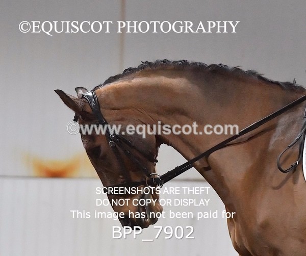 BPP_7902 - INTRO TEST 3