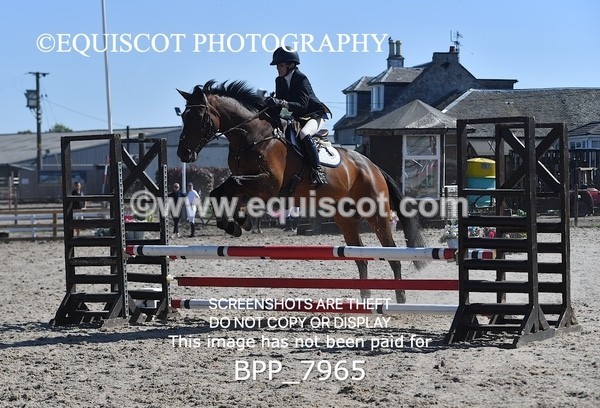 BPP_7965 - CLASS 2 Club/ Unaffiliated 80cms Open