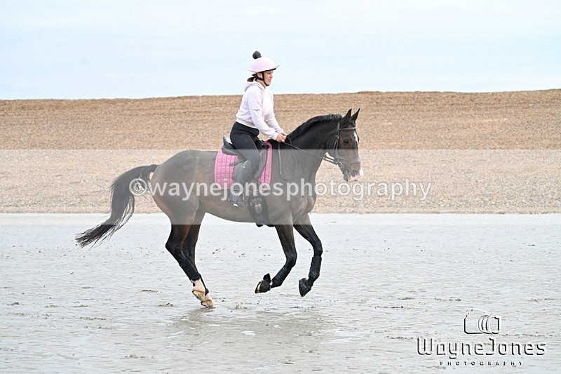 WJ7_9321 - Hayling Island Beach Shoot 22-09-24