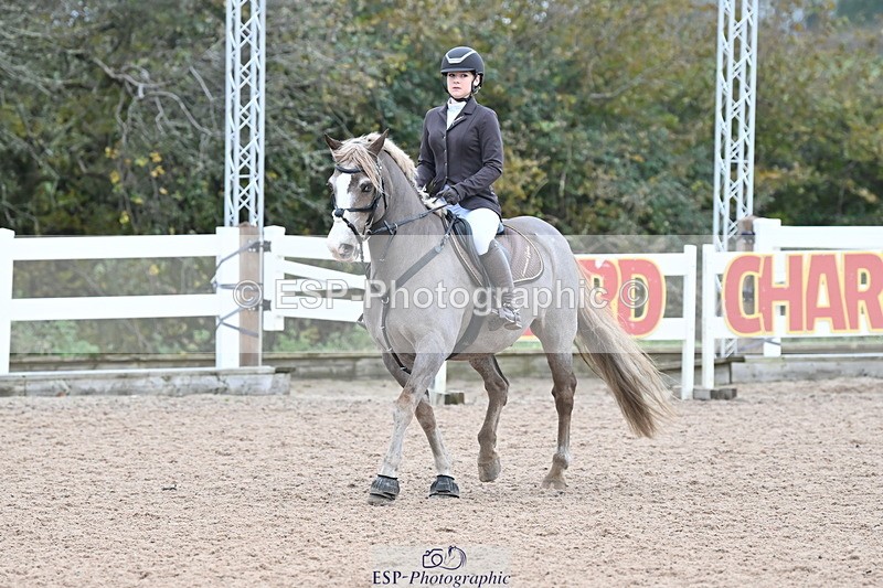 231119A-103214-04964 - Sun Cls 3 BlueChip Pony Discovery Qualifier