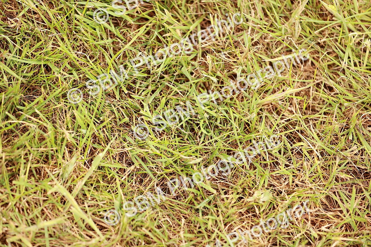 SBM_04707 - Class 5-8 - BSPA In hand