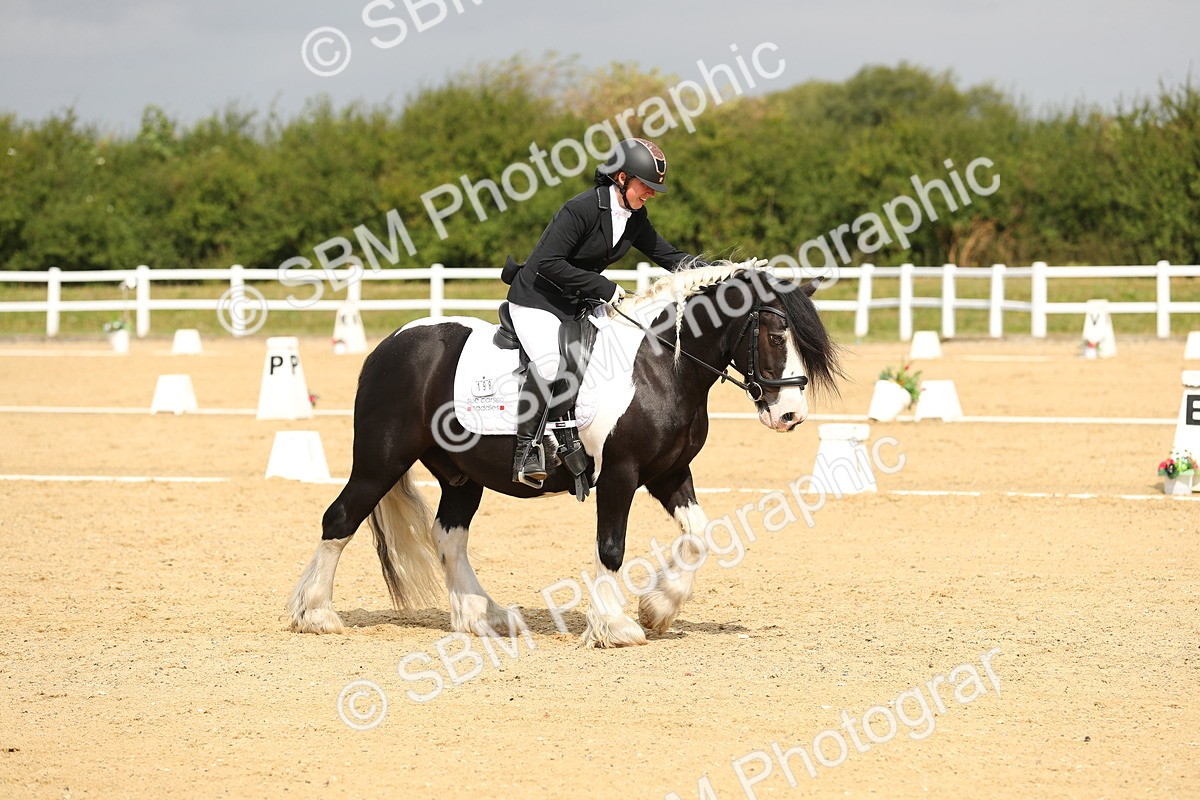 SBM_016461 - Class 13 - Novice 23 - 11.25-12.35