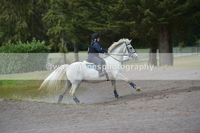 NGP_3533 - XC Time 11:59 to 12:15