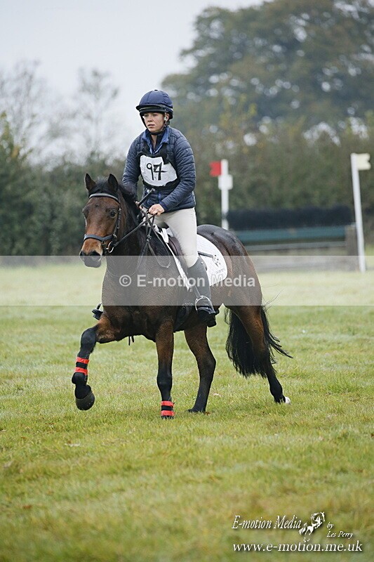 WWHT 181020 WWHT 181020 221 - WWEC Novice Restricted (0.80m) 18/10/20