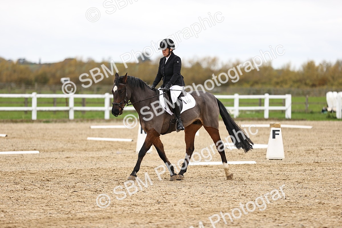 SBM_003513 - Class 11 - Elementary 1