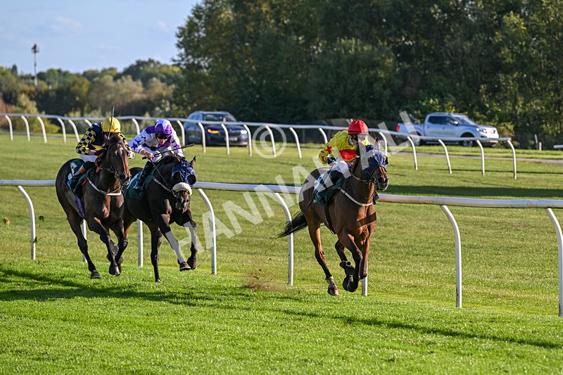 300926-Race 5-Vince Le Prince-6734 - Race 5 4.15pm Bet At racingtv.com Handicap (Div II)
