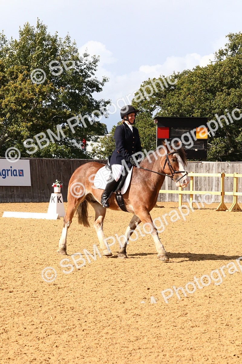 SBM_23595 - D5 - Small Tour Championshop Intro 2