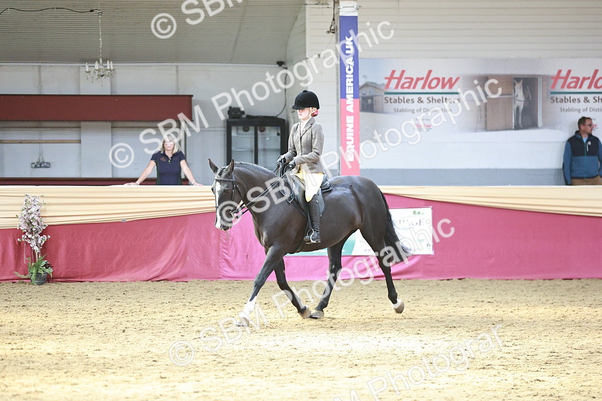 SBM_07175 - Class 10R - Regional Ridden Diamond