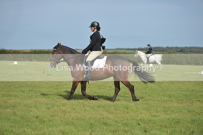 RAY_7719 - Class 2B: Trekenning Open: Dressage