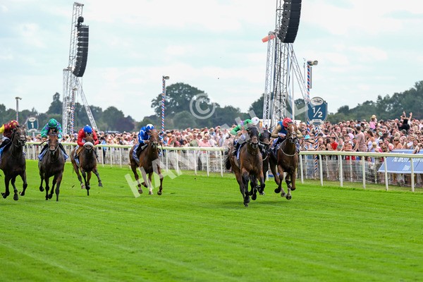 280625-Race 2-Quinault-0114 - Race 2 2.25pm Al Basti Equiworld Dubai Criterion Stakes