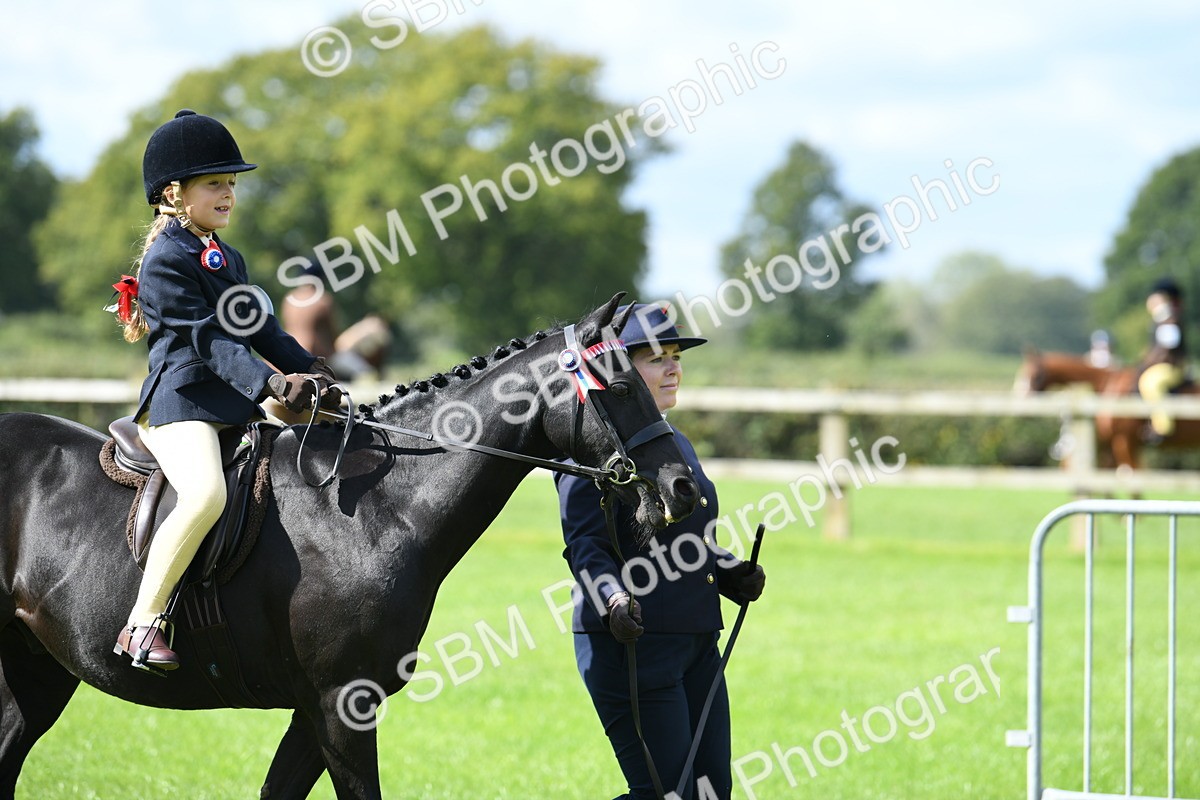 SBM_41133 - S19 - Lead Rein Show & Show Hunter Pony