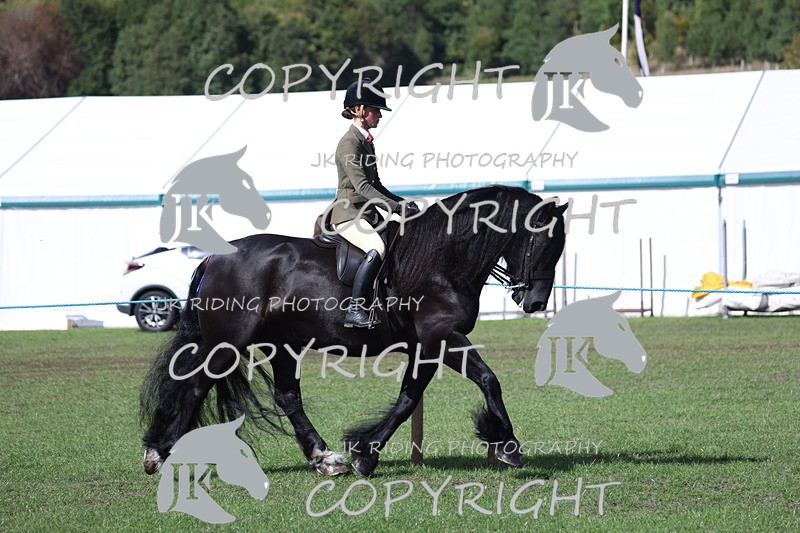 APP_3500 - Class 12 M&M ridden