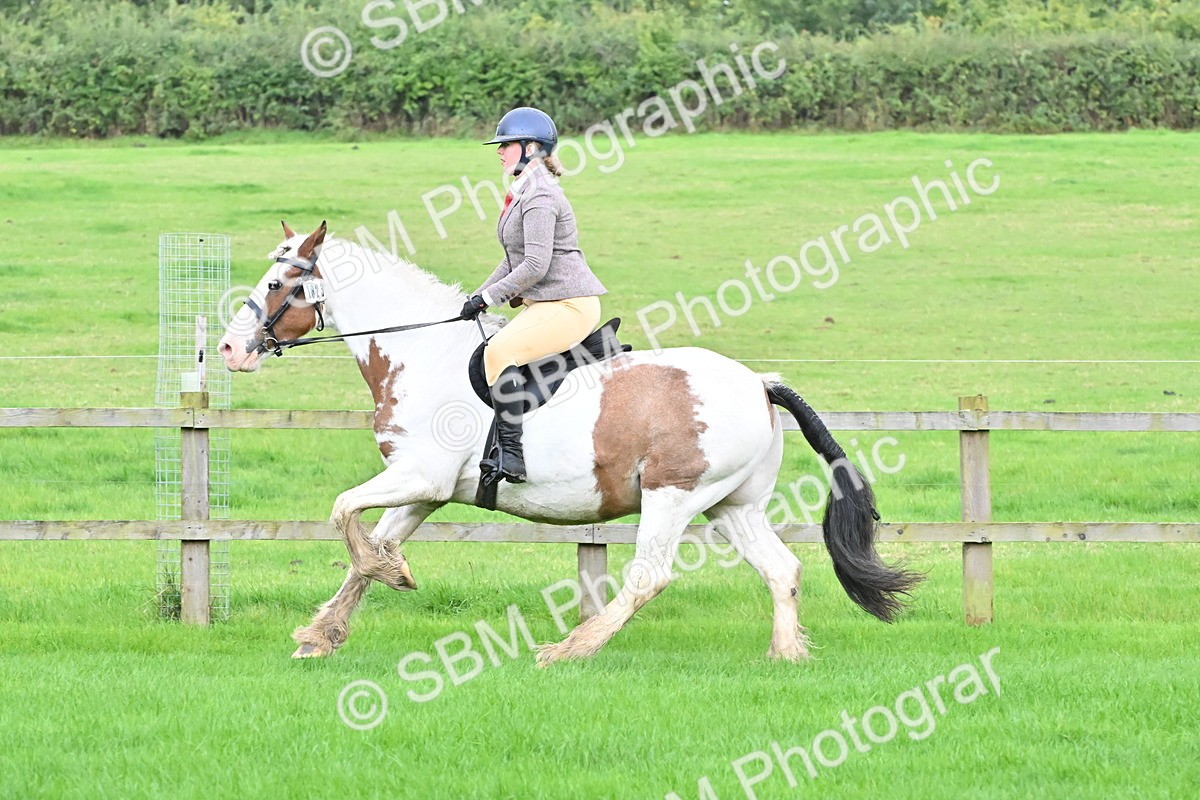 SBM_42899 - S12 - Family Horse & Pony
