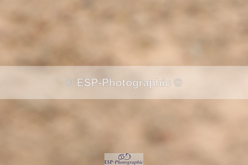 240622A-120403-09145 - Cls 30 BD Elementary 53