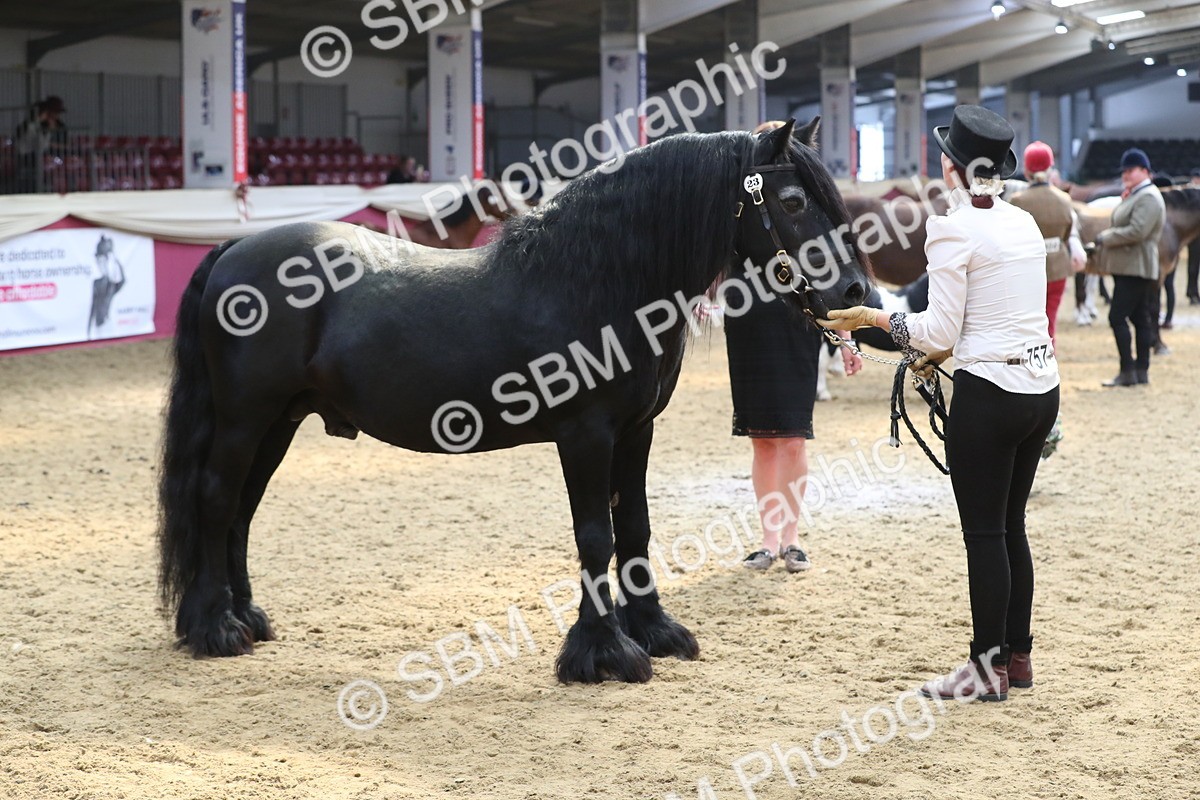SBM_15322 - Class 501 M&M IH Supreme Final