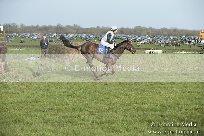 PtP 230319 492 - VWH Hunt Siddington Point-to-Point Racing 23/03/19