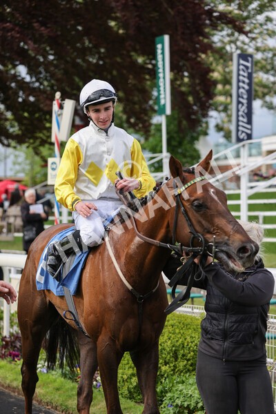 yr11052022r6-33 - Race 6 4.45pm Conundrum HR Consulting Stakes