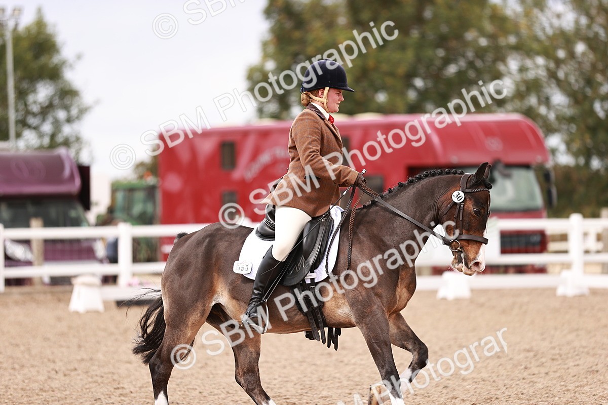 SBM_06244 - Class 37 - Novice 5