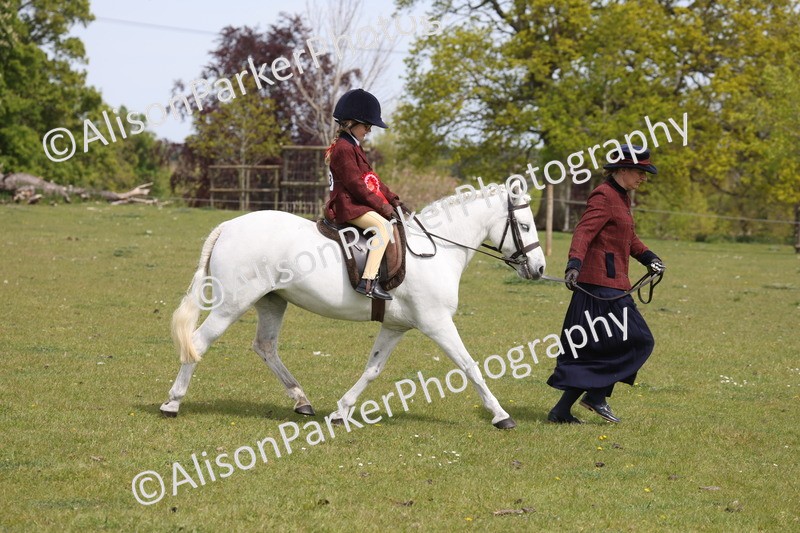 20260426-4085 - Small Pony Championship