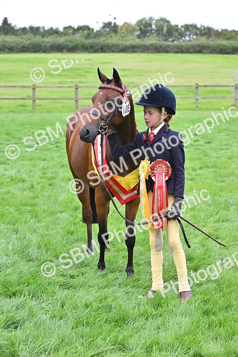 SBM_65017 - In Hand Pony & Younstock Supreme Championship