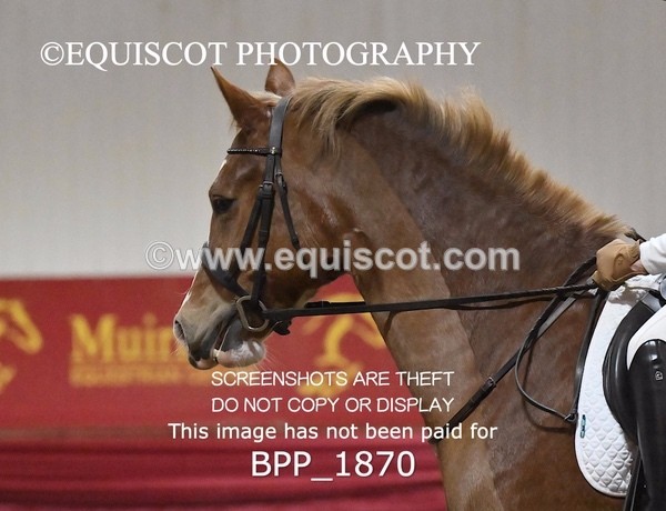 BPP_1870 - INTRO TEST 3