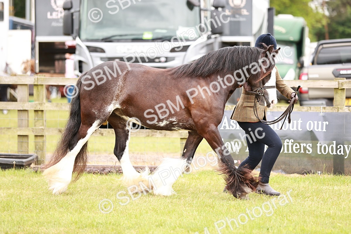 SBM_04653 - Class 5-8 - BSPA In hand