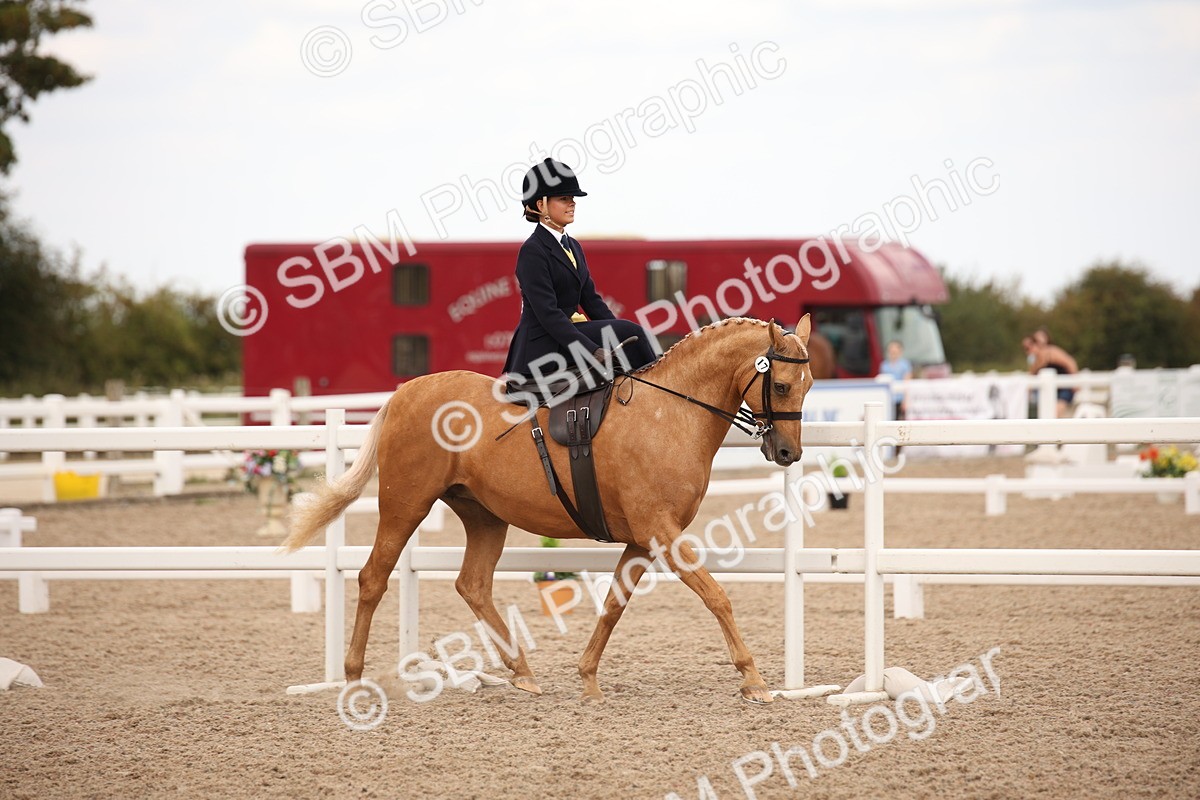 SBM_05313 - Class 22 SSA Equitation