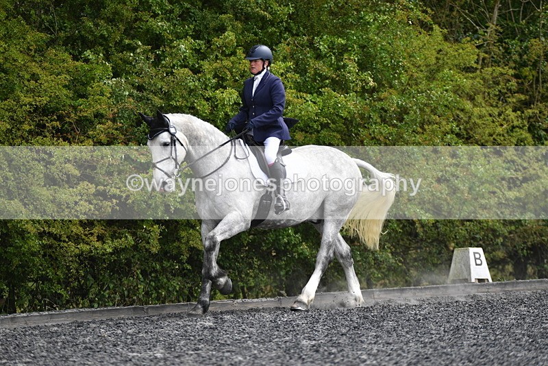 WJ5_2015 - Time 15:05 to 15:30