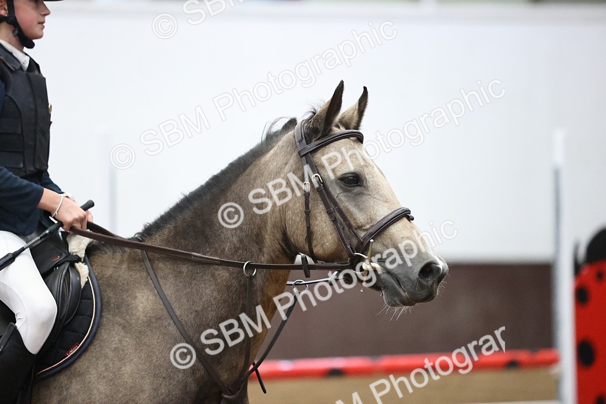 SBM_000449 - Class 2 - Pony British Novice - 80cm Open