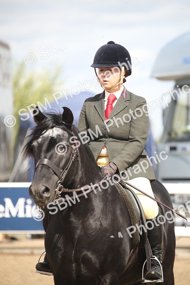 SBM_15182 - Class 505b - M&M Working Veteran - 50cm (20+)