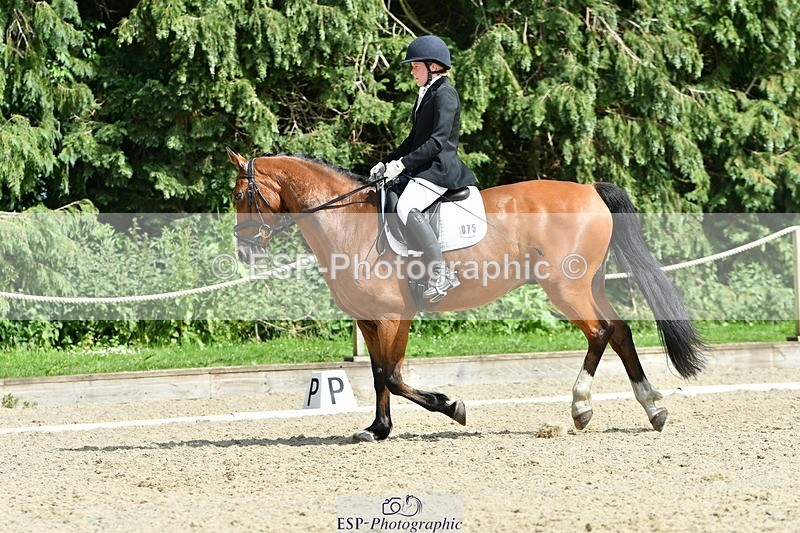 230623-154628-01181 - Cls 7 Medium 69