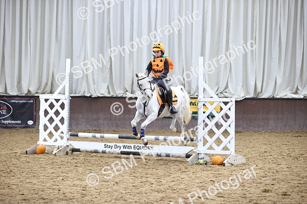 SBM_001356 - Class 3 - Horse & Hound 60cm