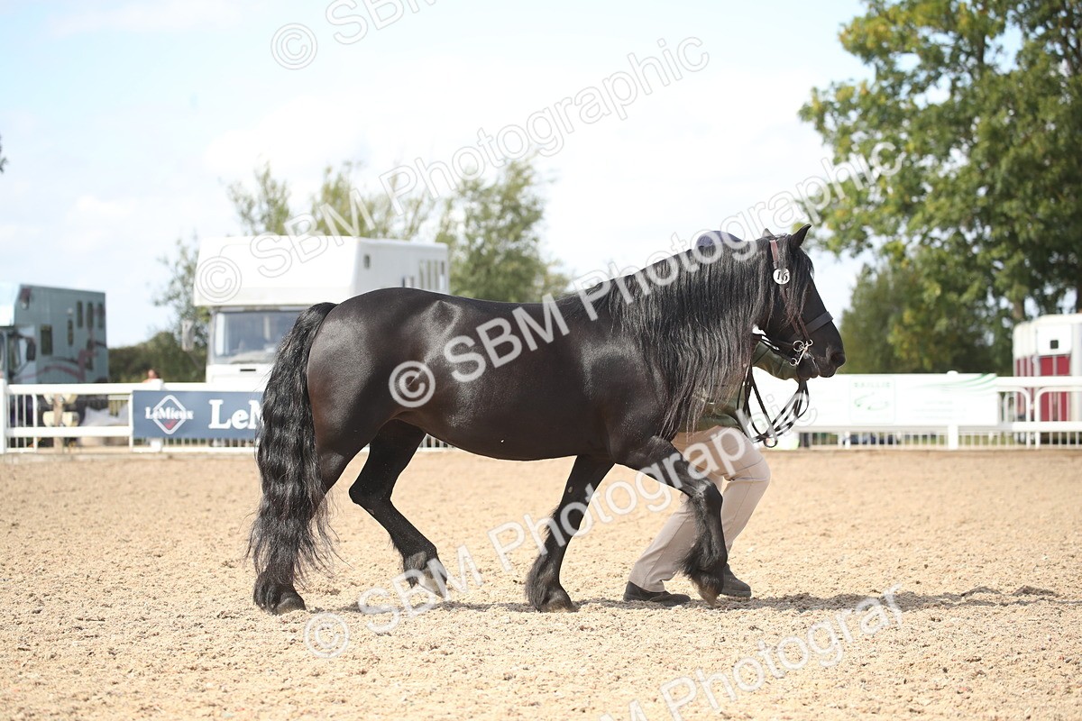 SBM_23082 - Class 606 - 2026 - Area - IH Pre Vet