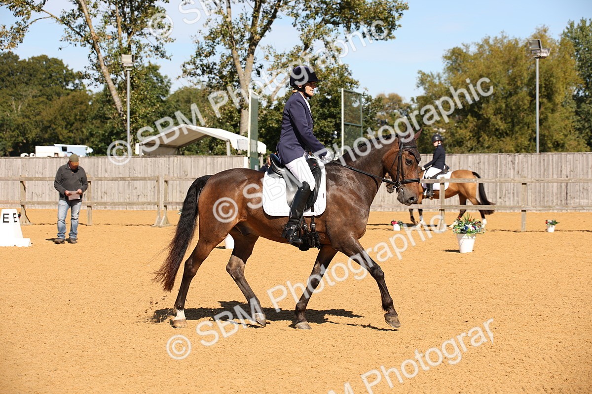 SBM_21611 - D5 - Small Tour Championship - Intro C