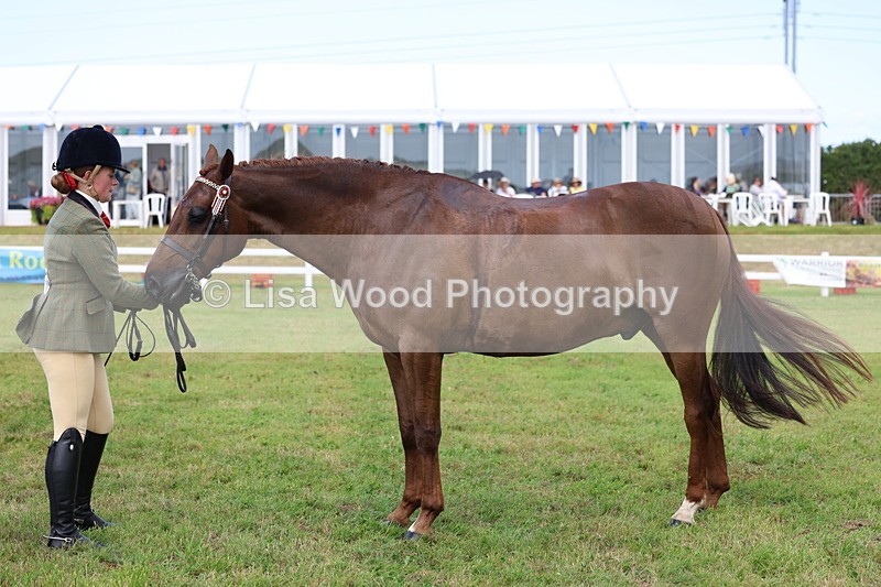 3E7A1084 - Class 8: Open Riding Horse/Hack