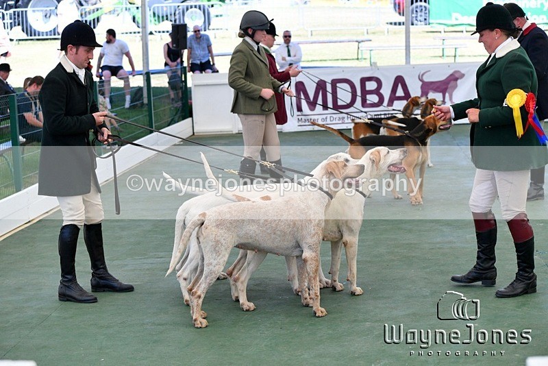 WJ5_1146 - Berks & Bucks at the Great Yorkshire Show 2025